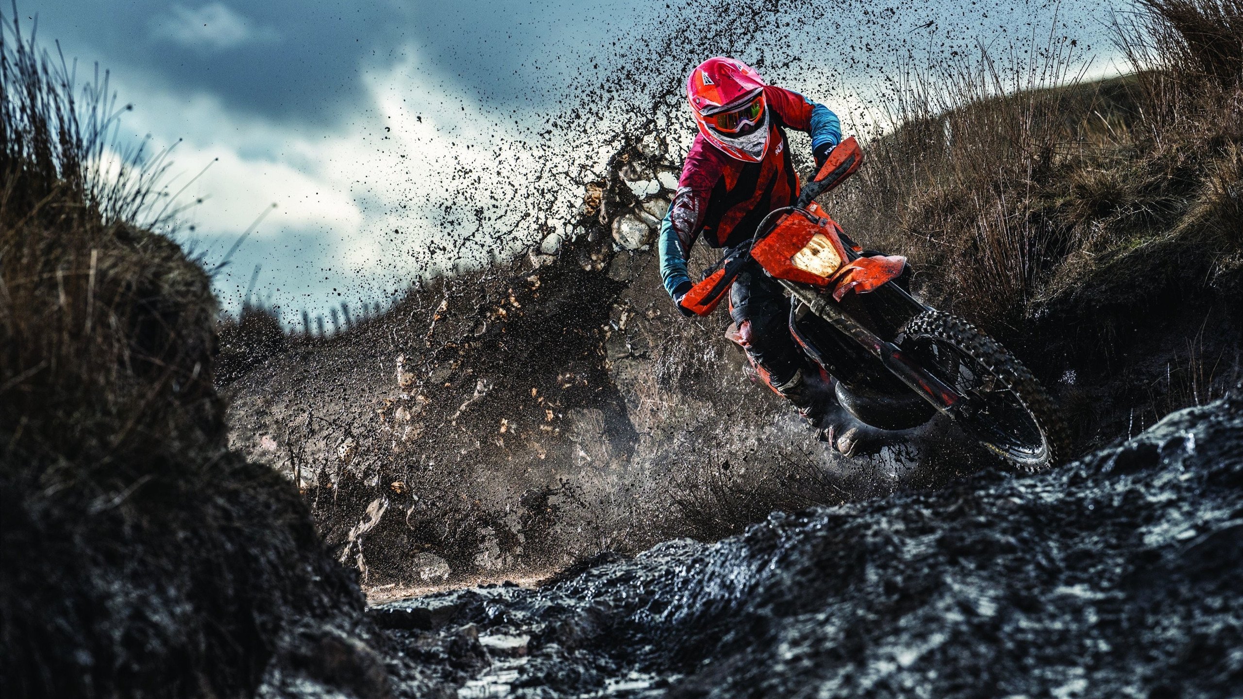 “未来青训”愿景逐步实现，数字化、智能化成为行业发展标配