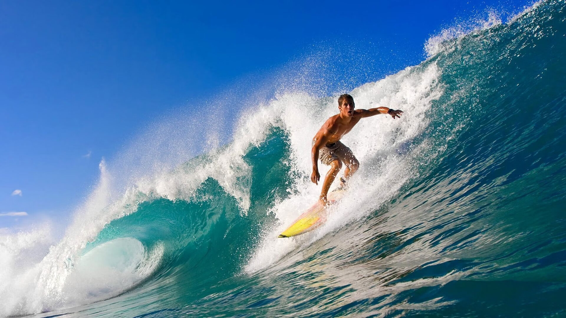 室内蹦床华丽秀,空中舞者炫技表演,室内蹦床运动